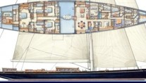 Erica XII